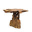 Burruss Solid Wood Tree Stump End Table