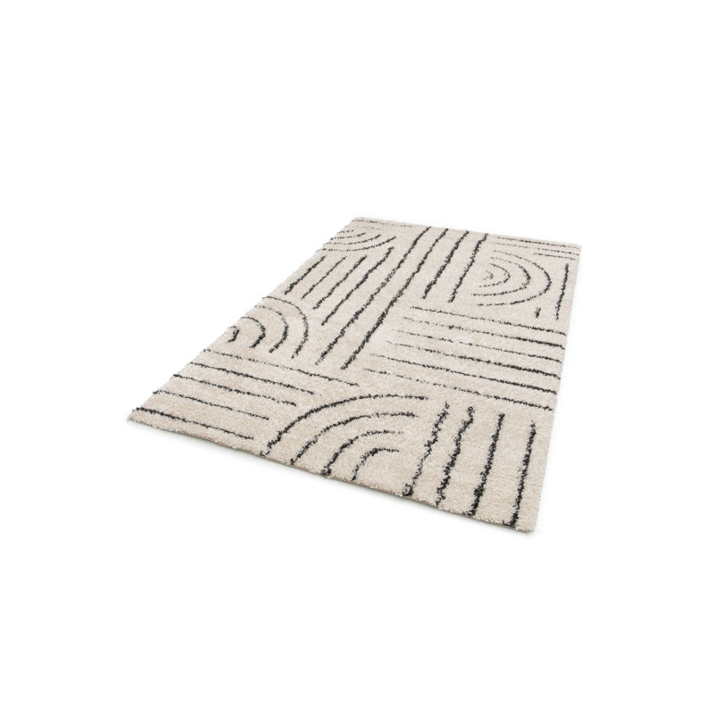 Takehito Oriental Area Rug, Rectangle 160 x 230cm