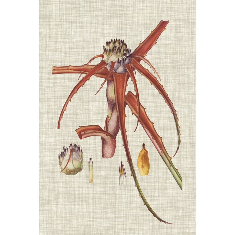 Elegant Tropicals VI by Vision Studio - Wrapped Canvas Painting, 30cm H x 20cm W x 3.8cm D