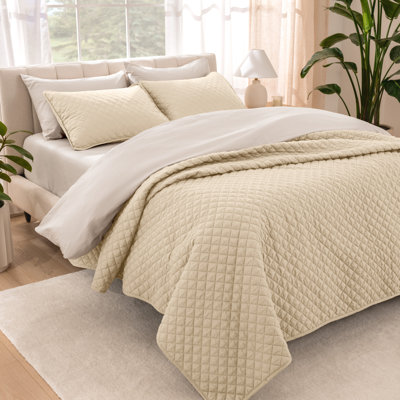 Ensemble de couvre-lit moderne et contemporain en microfibre 3 pièces 