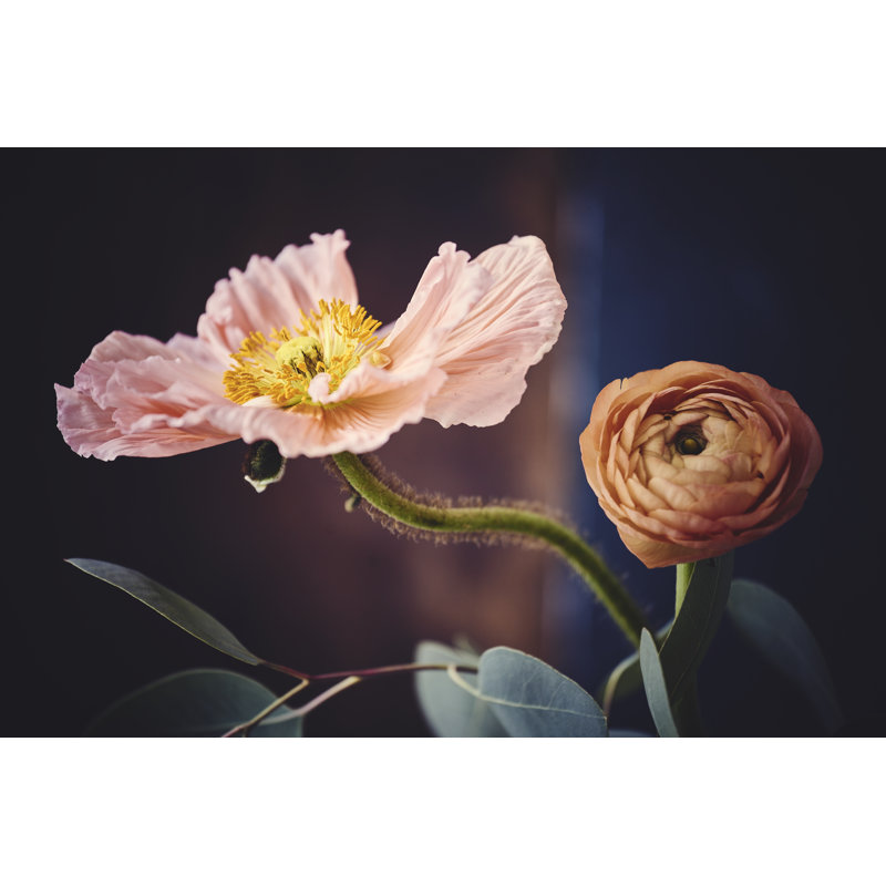 Pastel Cut Flowers - Wrapped Canvas Print, 30cm H x 46cm W x 3.8cm D