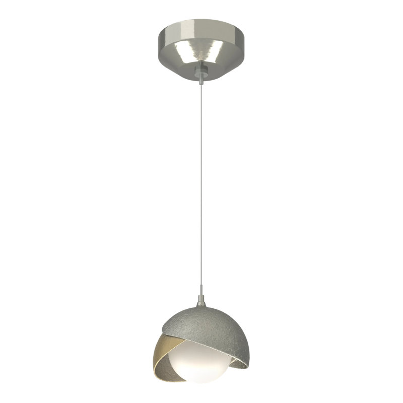 Brooklyn 1 - Light Single Globe Pendant, Sterling, Clear Steel