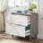 Derrin 31.5'' Wide 2 -Drawer File Cabinet-2117688603