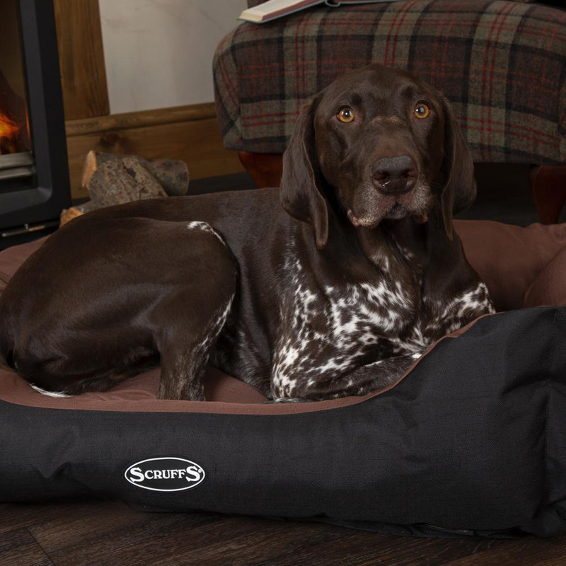 Expedition Polyester Pet Bed, 16cm H x 50cm W x 40cm D, Chocolate