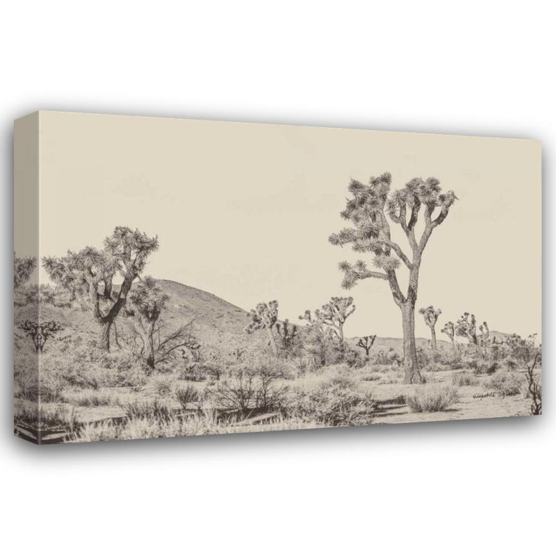 «Red Barrel Studio® Urquhart, Elizabeth Gallery, art sur toile tendue: Arbre de Josué II neutre