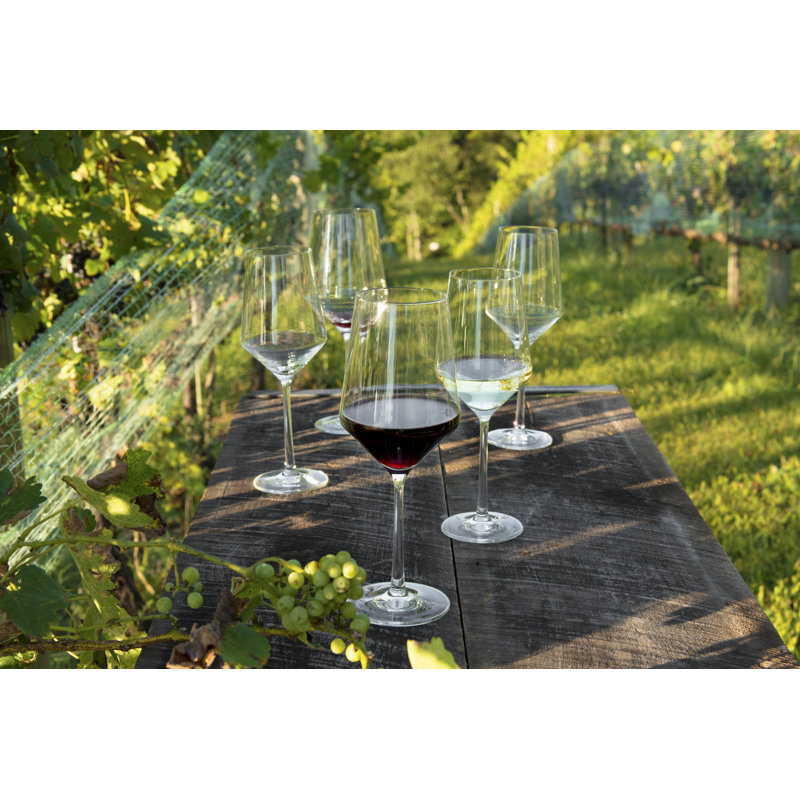 Zwiesel Glas 18.2 oz Clear Tritan Crystal Wine Glass Set