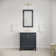 Belmar 30'' Single Bathroom Vanity with Stone Top