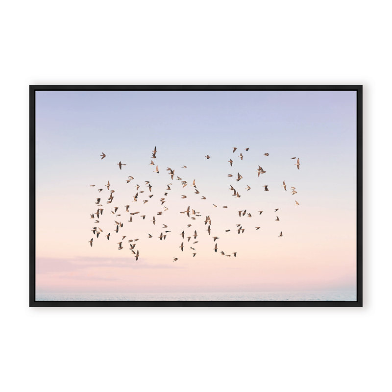 Nature Inspired Sunset Flight by  - Picture Frame Photograph on Paper, 16" H x 24" W x 1.125" D, Brown, Framed Print