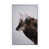 White Framed is unavailable