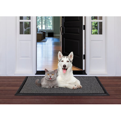 Non-Slip Indoor Doormat