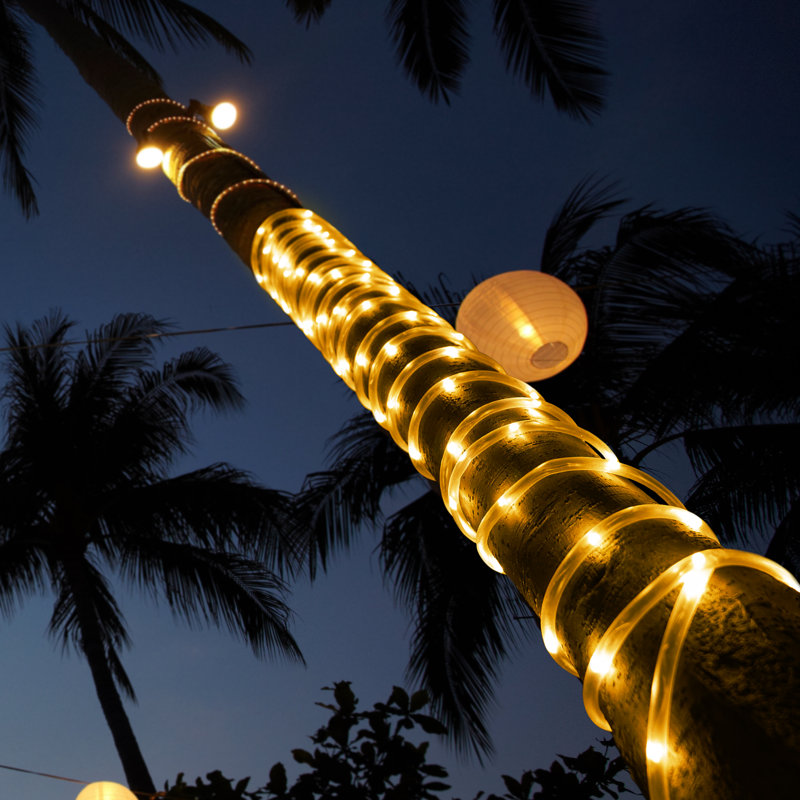 Adrienne Outdoor 100 - Bulb 428.4'' Solar Powered LED Rope String Light, Yellow