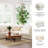 Mauzy 5-piece Sectional