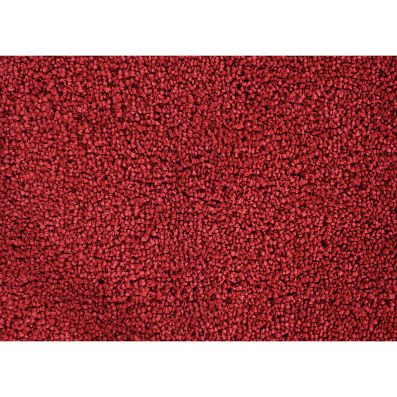 Sedona Bath Rug, Extra Soft Absorbent Plush Bath Rugs, Non-Slip, Quick Drying, Machine Washable, Plush Comfort for Bathroom Floor, Tub and Shower, 21" x 34", Classic Red