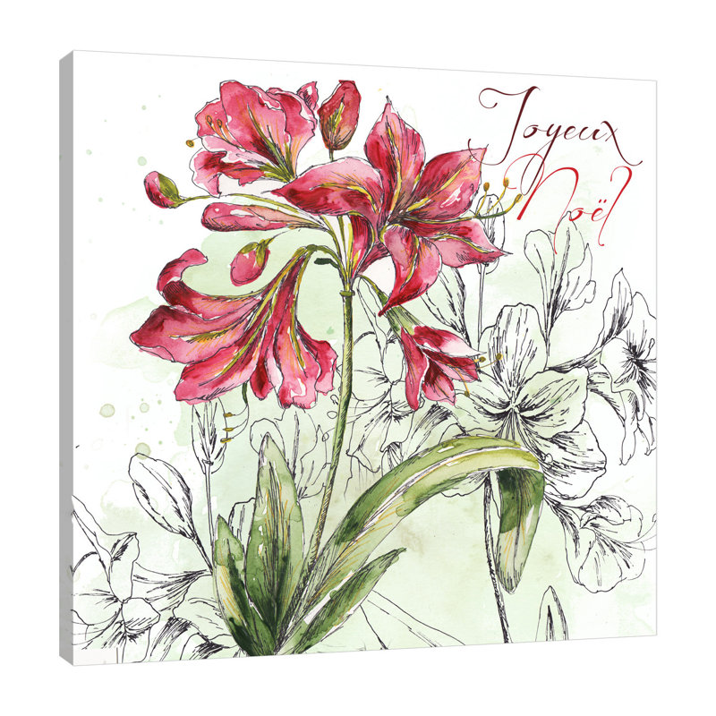 Chistmas Amarillys: Joyeux Noel - Wrapped Canvas Painting, 71.1 cm H x 106.7 cm W