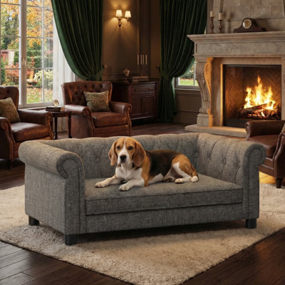 Lit pour chien Modern Modern