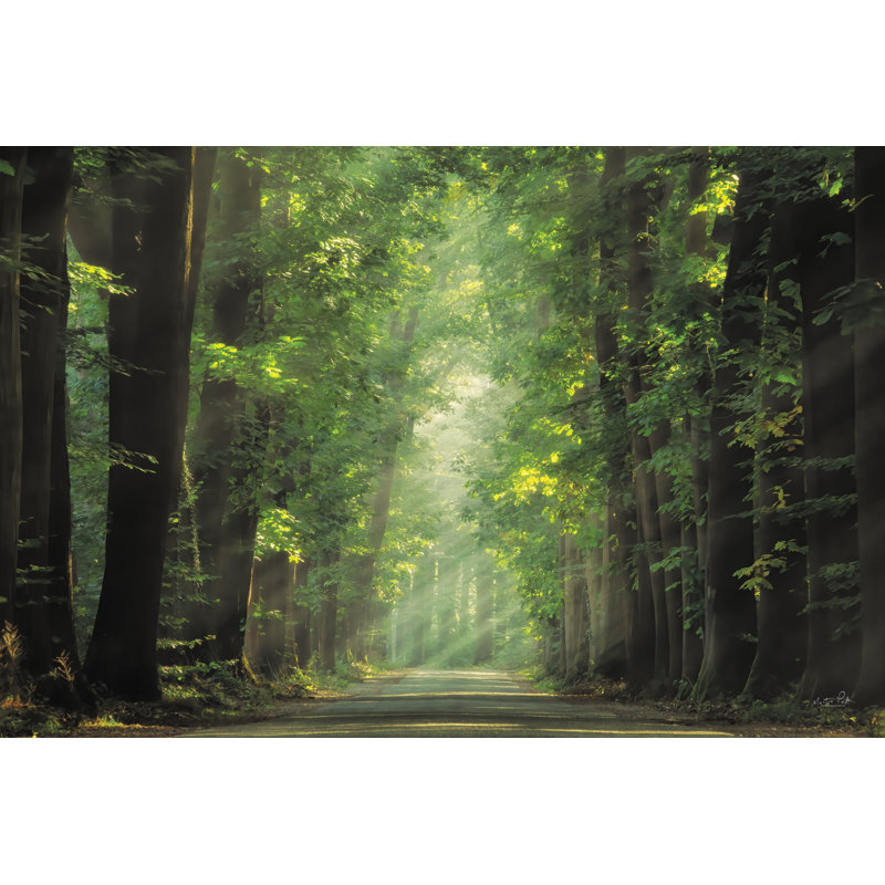 Lumières vives, H 8 po x l 12 po, Non, Toile tendue