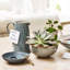 Denby Studio Grey Coupe Cereal Bowls