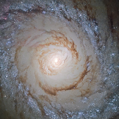 Messier Galaxy by Wild Apple Portfolio