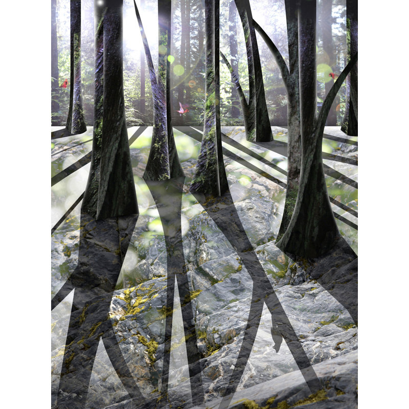 «Through the Woods» par Leslie Kell - impression, Toile avec cadre noir, H 33 po x l 25 po