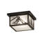 1 - Light Flush Mount