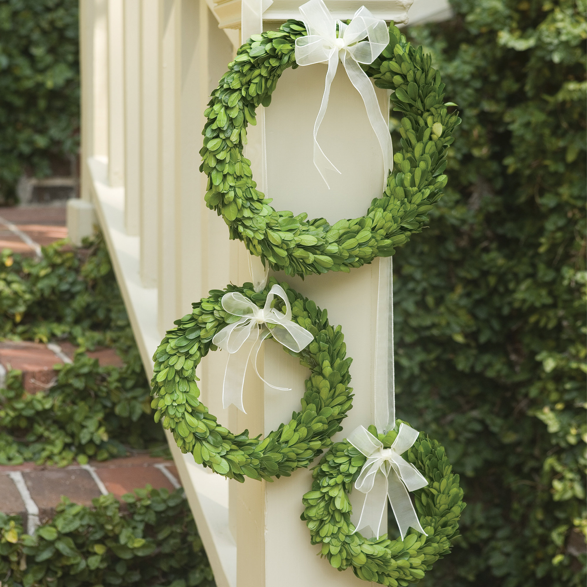 10'' Easter Preserved Boxwood Wreath, White