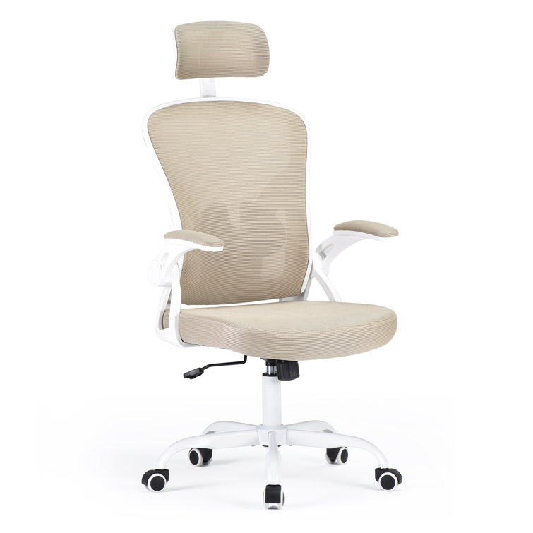 Lizvette Ergonomic with Headrest