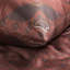 Cotton Plaid Duvet Cover Set with Pillowcases