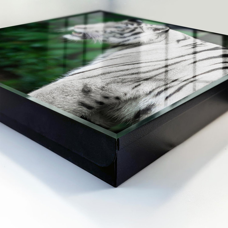 Key cabinet, Opens to the left, 30x30x5, White, A white tiger in a green environment, 