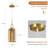 Figen Pendant Lights Kitchen Island Champagne Glass Gold Pendant Light Fixtures Adjustable Height Modern Pendant Lighting for Bedroom Dining Room