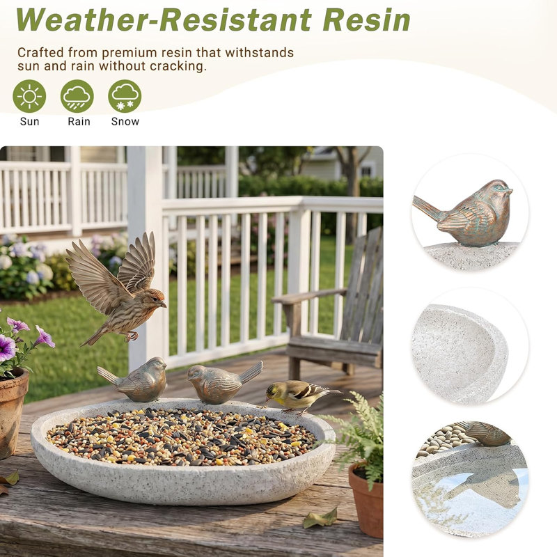 Bain d'oiseaux pour l'extérieur, jardin en résine
