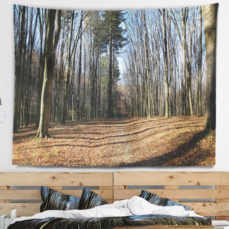 Tapisserie forêt automne dans la lumières du soleil et des ombres, H 50 po x l 60 po