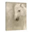 « white main » par kimberly allen, reproduction d’art sur toile tendue-20027207