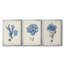 Corail antique en bleu marine - Toile tendue avec châssis sur mesure - 3 pièces-852822277-852822272