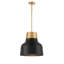 Nickel 1 lumière Meridian en noir mat avec laiton naturel-585973072