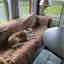 Customer photo 2 of 2