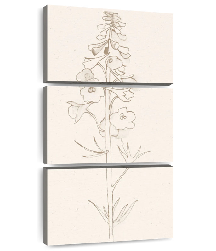Delphinium II, H 27 po x l 12 po