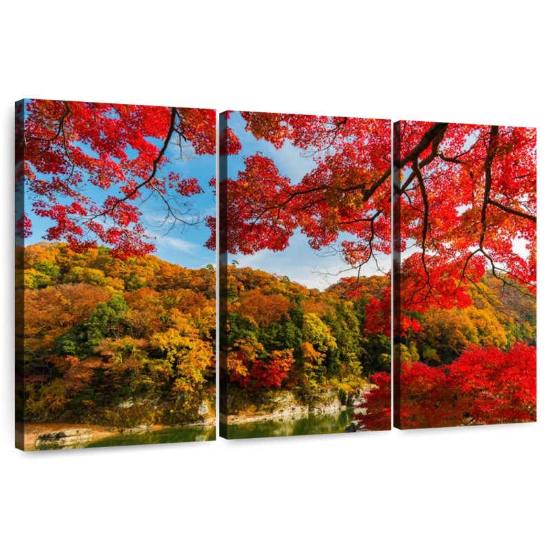 Alvord Japanese Fall Maple Forest, 32" H x 50" W