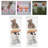 Acrylic Display Case-101114629