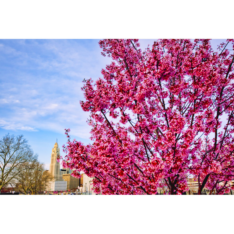 Columbus by Aceshot - Wrapped Canvas Print, 20cm H x 30cm W