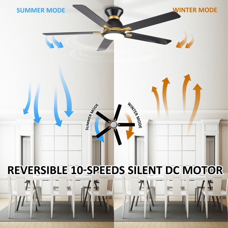 52" Smart Ceiling Fan with Light, Black, Black