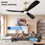 Ventilateur de plafond intelligent 52 po avec lumière, 3 pales en ABS, télécommande à 6 vitesses et commande vocale APP, 3CCT, à intensité variable, moteur réversible BLDC-133387528-133438085