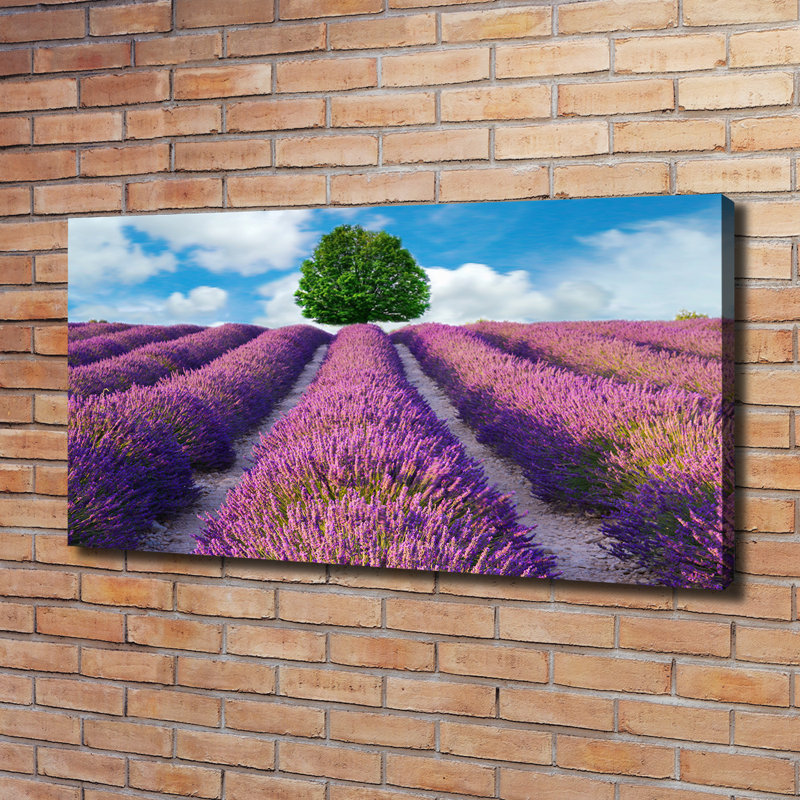 Lavender Field - Wrapped Canvas Print