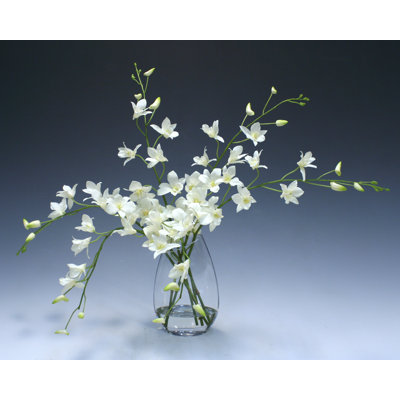 Polysilk Orchid Arrangement in Vase