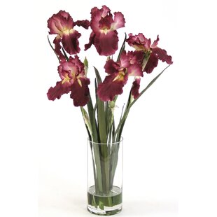 Waterlook Silk Iris with Blades in Cylinder Glass Vase