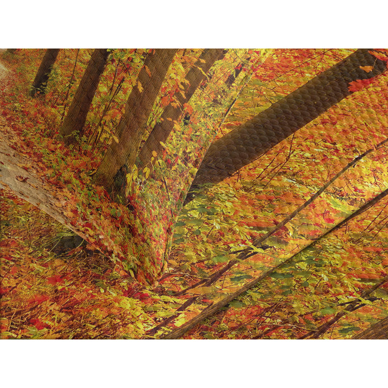 Autumn Pathway Queen Quilted Bedspread Set with Shams