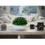 11'' Faux Boxwood Plant in Fiberstone Planter