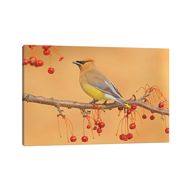 Picking Berries by Brian Wolf - Wrapped Canvas Print