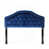 Velours bleu marine