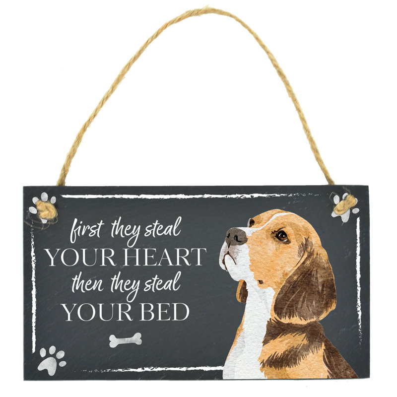 Vivid Squid Wholesale Animals Box Signs & Plaques