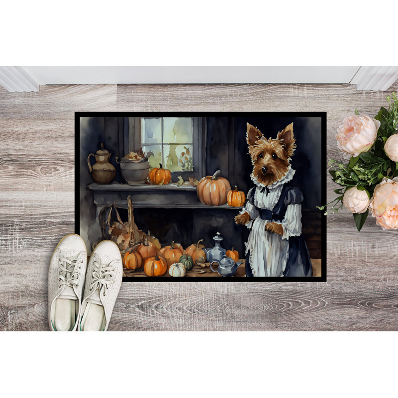 Paillasson d'extérieur Kinzel, L 24 po x L 36 po